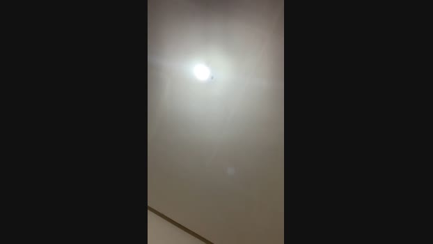 bzsant2 09-01-2025 Recorded Video fuckher