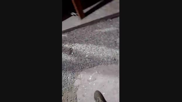 DeBombonnomas 10-01-2025 Recorded Video Porn