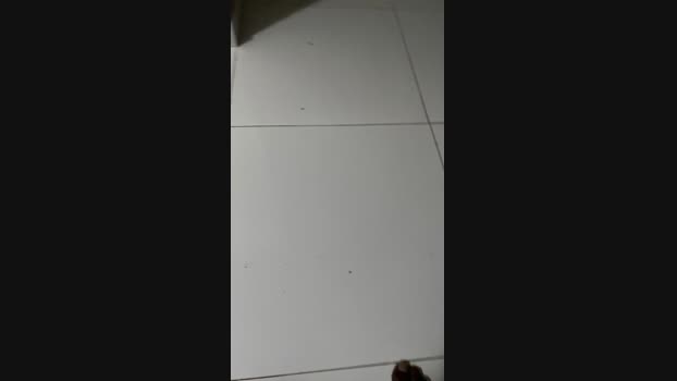 HETERO24GROSSO 10-01-2025 Recorded Video fuck