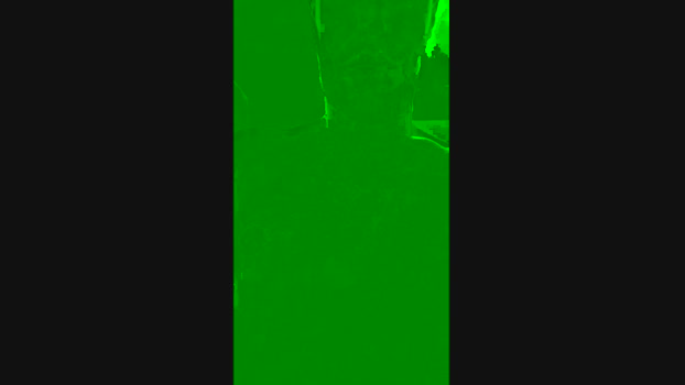 Loiropro 10-01-2025 Recorded Video fuckme