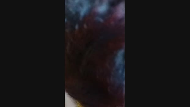 Agustinsica 11-01-2025 Recorded Video deep