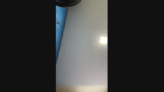 Bryanproducoes 11-01-2025 Recorded Video kiss
