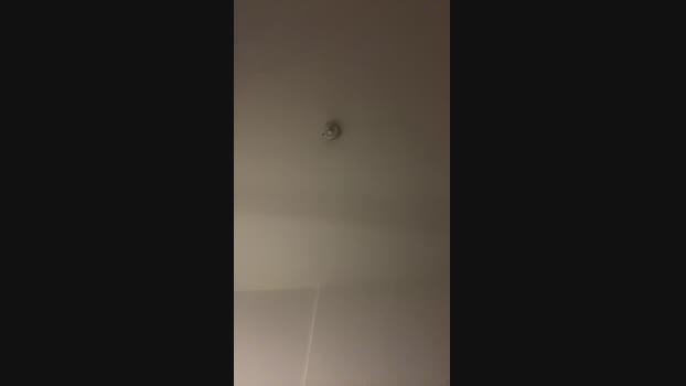Casall01 11-01-2025 Recorded Video analsex