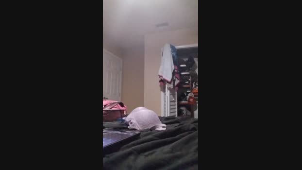 Jt14 11-01-2025 Recorded Video handsome