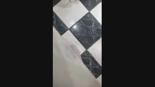 Fetichistahard 12-01-2025 Recorded Video orgasm