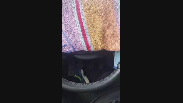 Outdoorgeil1 12-01-2025 Recorded Video Video