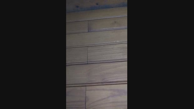 coco4225 12-01-2025 Recorded Video fuckface
