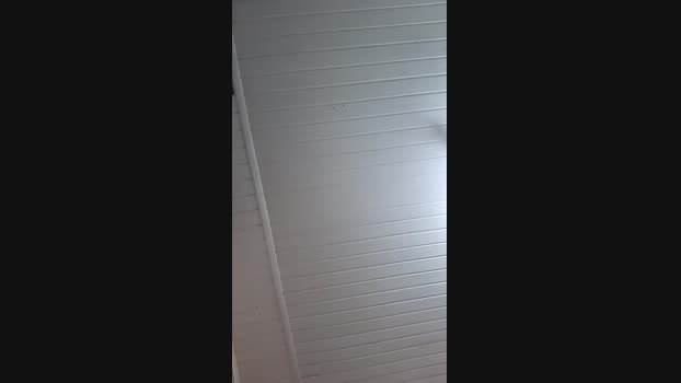 Morenoodanit 13-01-2025 Recorded Video bigcock
