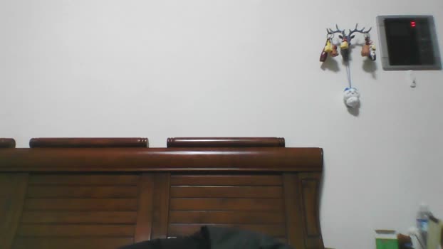 Relei 13-01-2025 Recorded Video squirt