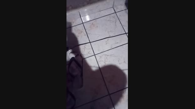 gato_de_boa