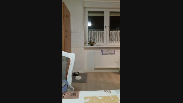 Doperman 14-01-2025 Recorded Video XXX
