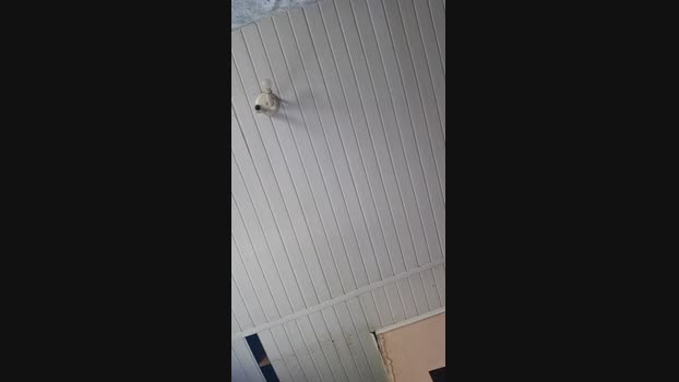 Morenoodanit 15-01-2025 Recorded Video striptease