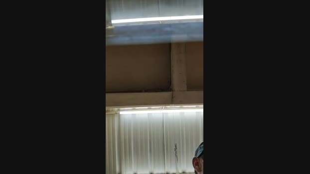 Sexylatinogay 15-01-2025 Recorded Video sexy