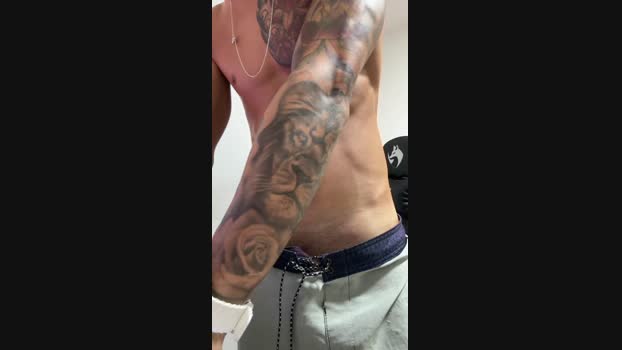gato_dtado 15-01-2025 Recorded Video big