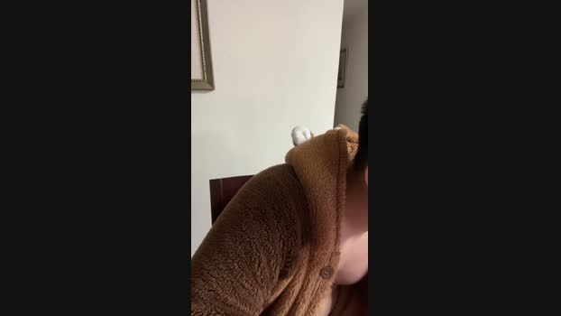 hornyboy3342