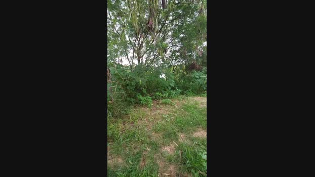 jao_magrao 14-01-2025 Recorded Video bicurious