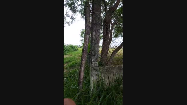 jao_magrao 14-01-2025 Recorded Video nasty