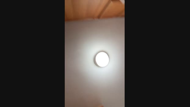 west_la 15-01-2025 Recorded Video bigtoys