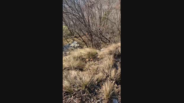 Manu97k 16-01-2025 Recorded Video Video