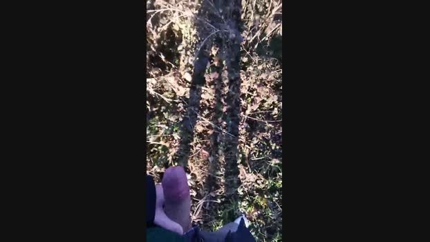 Vict_gordo 16-01-2025 Recorded Video dirty