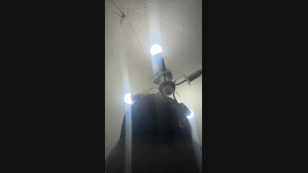 ignaciocvt 16-01-2025 Recorded Video kinky