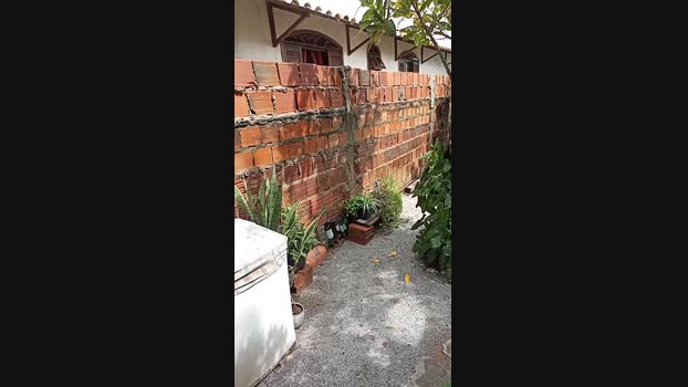 magrogostoso1 15-01-2025 Recorded Video jerkoff