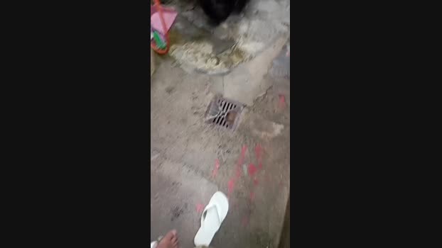 PrincePrincipe 17-01-2025 Recorded Video kink