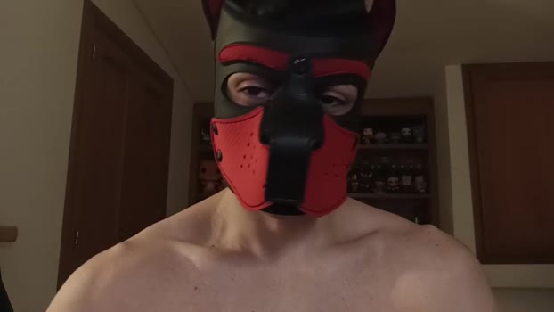 Frabroker 17-01-2025 Recorded Video big