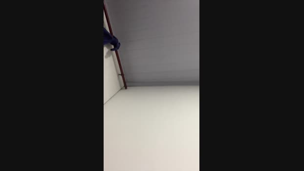 Luizfernandobbz 17-01-2025 Recorded Video toys