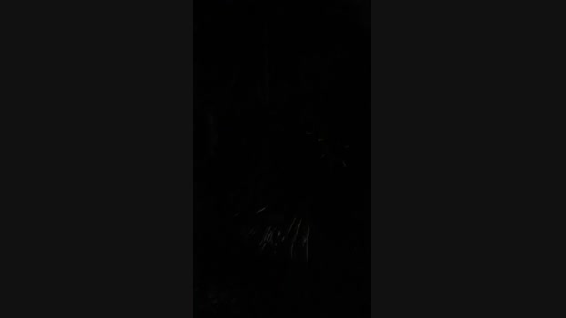 Morenoodanit 19-01-2025 Recorded Video big