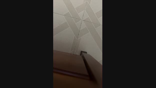 Pollonmario 19-01-2025 Recorded Video strip