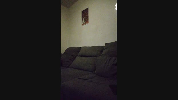 RubitoXL 19-01-2025 Recorded Video squirt