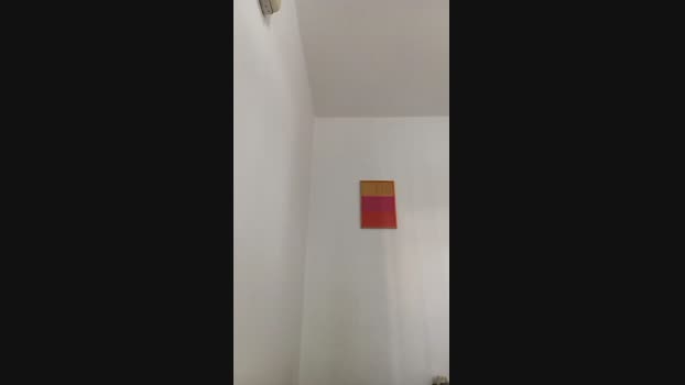 diegocortezbr 18-01-2025 Recorded Video sexykitty