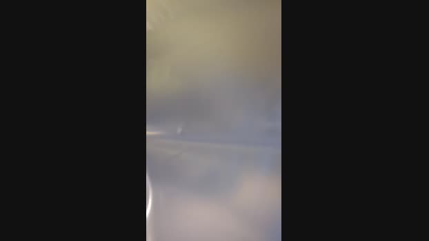 Beardedveteran 20-01-2025 Recorded Video fuckme