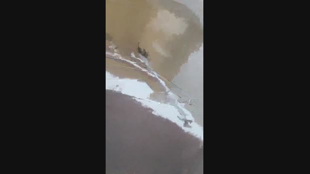 DLRN4 20-01-2025 Recorded Video big
