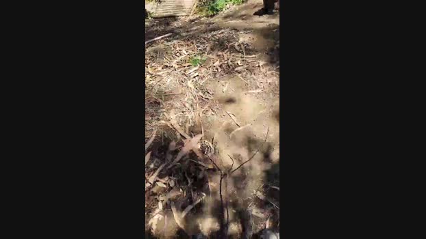 RifterManu 19-01-2025 Recorded Video deep