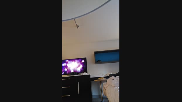 Beardedveteran 20-01-2025 Recorded Video toy