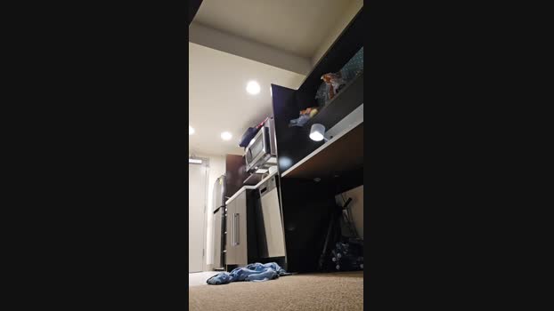 Beardedveteran 20-01-2025 Recorded Video Webcam