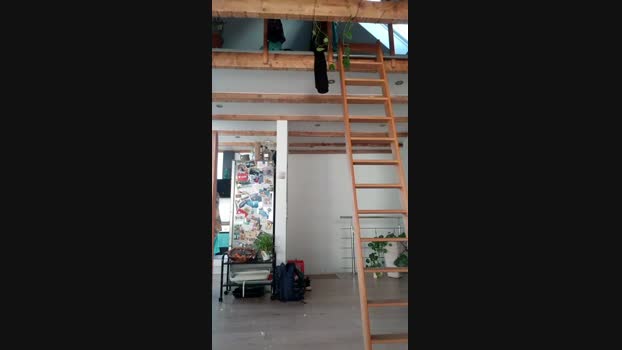 misterman244 21-01-2025 Recorded Video jackoff