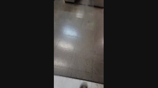 RifterManu 22-01-2025 Recorded Video sexykitty