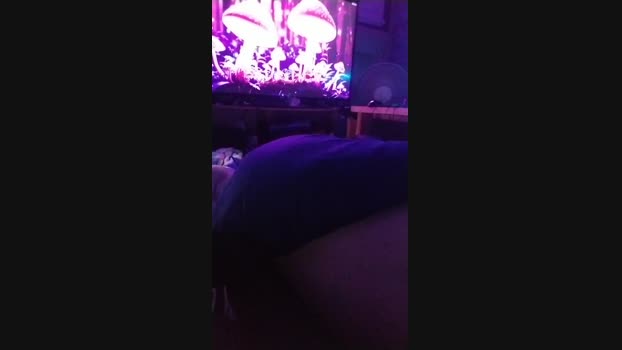 physicssexpert 21-01-2025 Recorded Video sexy