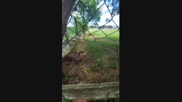 jao_magrao 23-01-2025 Recorded Video moan