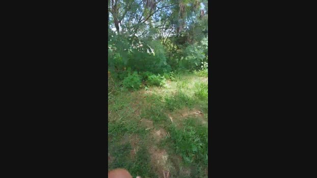 jao_magrao 23-01-2025 Recorded Video XXX