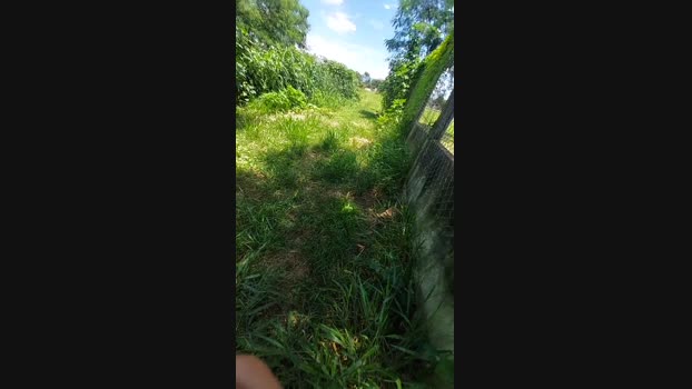 jao_magrao 23-01-2025 Recorded Video beautiful