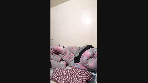 nick1786 22-01-2025 Recorded Video toys