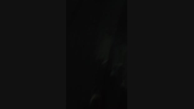 PrincePrincipe 24-01-2025 Recorded Video lovense
