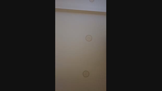 Salvafn88 24-01-2025 Recorded Video hard