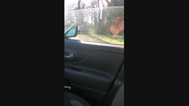 lovetrans111 24-01-2025 Recorded Video big