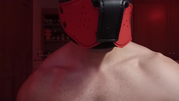 Frabroker 24-01-2025 Recorded Video jerking