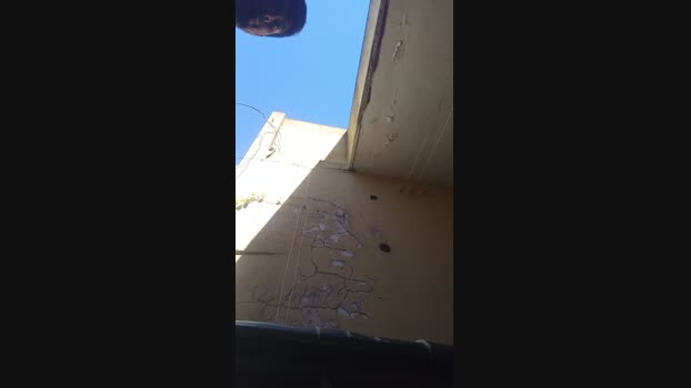 tedoyMAS1991 25-01-2025 Recorded Video fuckface